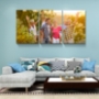 Picture of 3 Panels Customize Canvas Prints with Your Photo Canvas Wall Art- Personalized Canvas Picture, Customized To Any Style,Gifts for Family, Wedding, Friends, Home Decoration,Pet/Animal