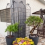 Picture of 2 Pack Metal Garden Trellis 86.7" x 19.7" Rustproof Trellis for Climbing Plants Outdoor Flower Support Black