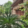 Picture of 2 Pack Metal Garden Trellis 86.7" x 19.7" Rustproof Trellis for Climbing Plants Outdoor Flower Support Black