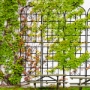 Picture of 2 Pack Metal Garden Trellis 86.7" x 19.7" Rustproof Trellis for Climbing Plants Outdoor Flower Support Black