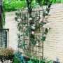 Picture of 2 Pack Metal Garden Trellis 86.7" x 19.7" Rustproof Trellis for Climbing Plants Outdoor Flower Support Black