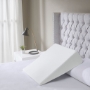 Picture of Wedge Pillow