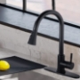 Picture of Pull Down Kitchen Faucet with Sprayer Stainless Steel Matte Black